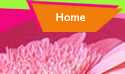 Interior Splashes Home Page